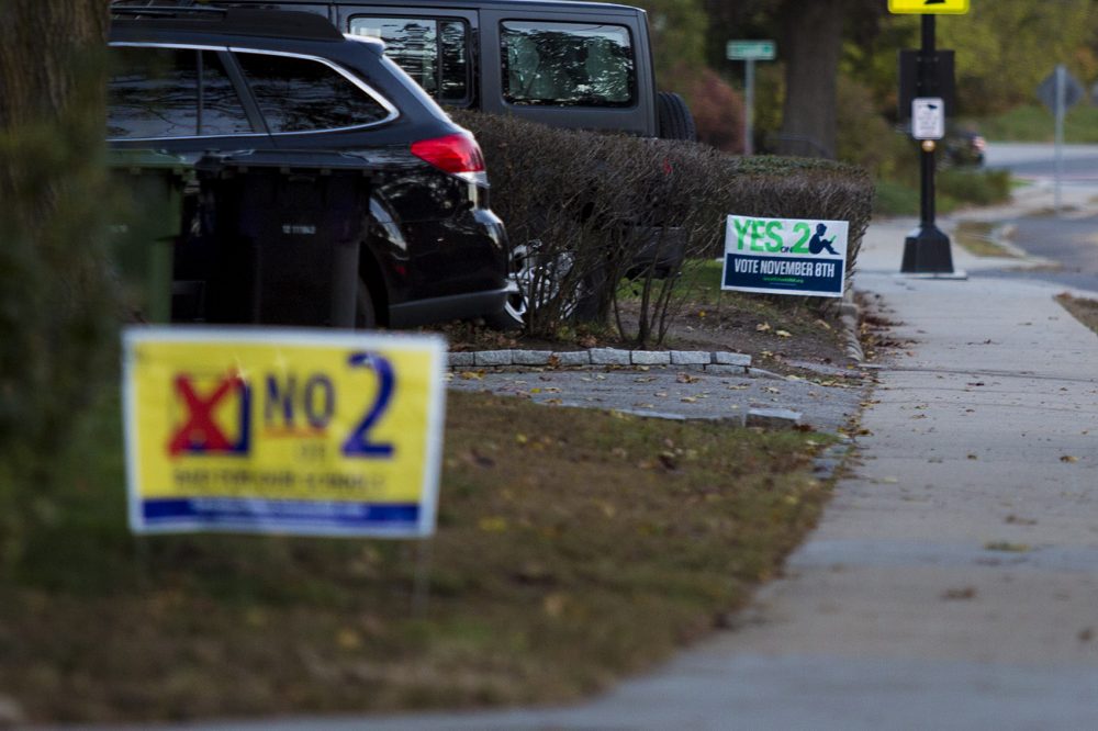 Next-door neighbors on Orchard Street in Watertown show their opinions about Question 2, one sign supporting charter schools and one sign opposing them. (Jesse Costa/WBUR)