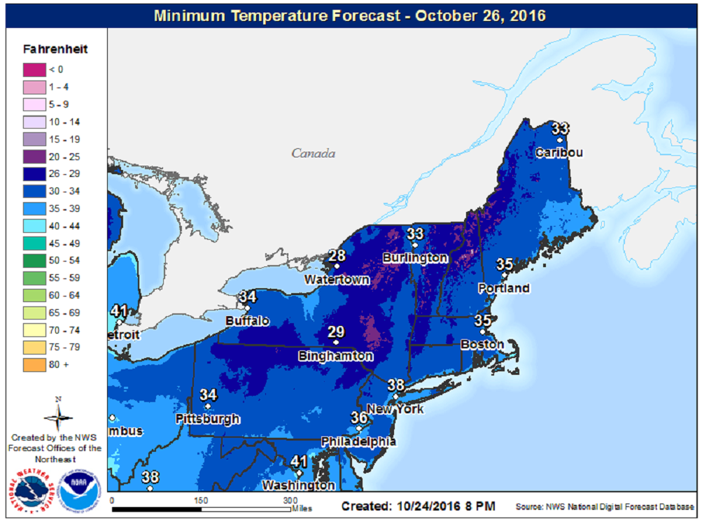 Forecast Southern New England Could Soon See The Season's First Snow