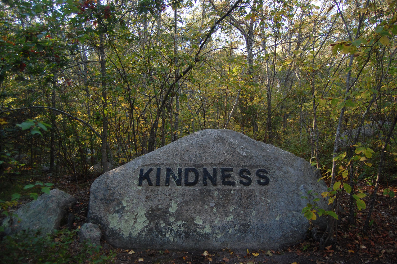"Kindness" boulder in Gloucester's Dogtown woods. (Greg Cook/WBUR)