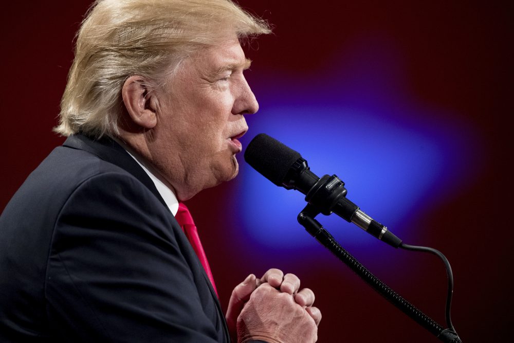 President-elect Donald Trump speaks at a rally at Hy-Vee Hall, Thursday, Dec. 8, 2016, in Des Moines, Iowa. (Andrew Harnik/AP)