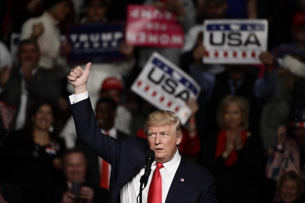 President-elect Donald Trump speaks during a rally at the Giant Center, Thursday, Dec. 15, 2016, in Hershey, Pa. (Matt Rourke/AP)