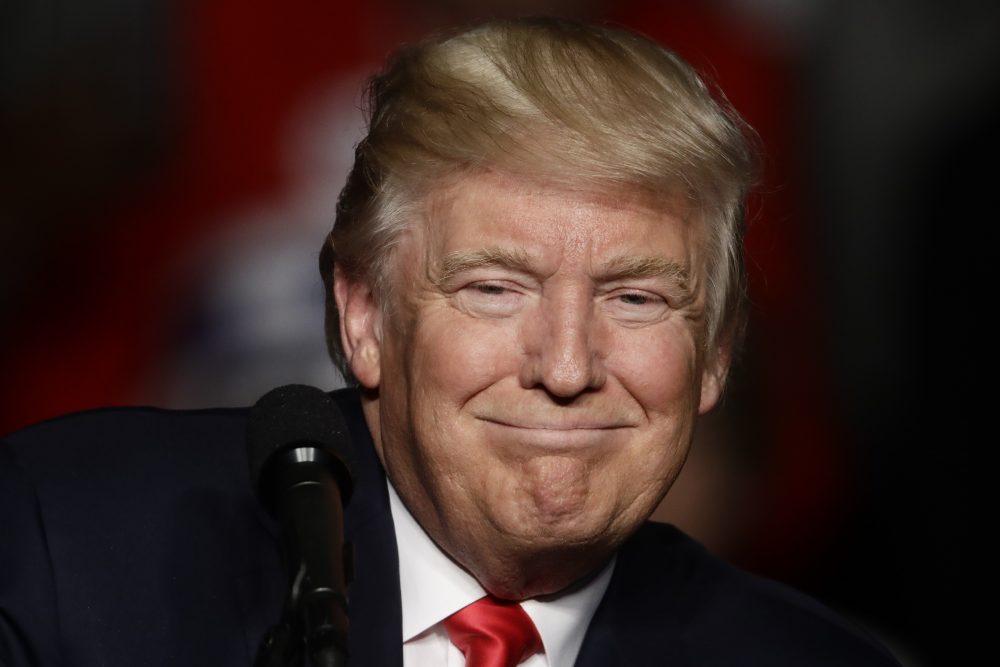 President-elect Donald Trump speaks during a rally at the Giant Center, Thursday, Dec. 15, 2016, in Hershey, Pa. (Matt Rourke/AP)