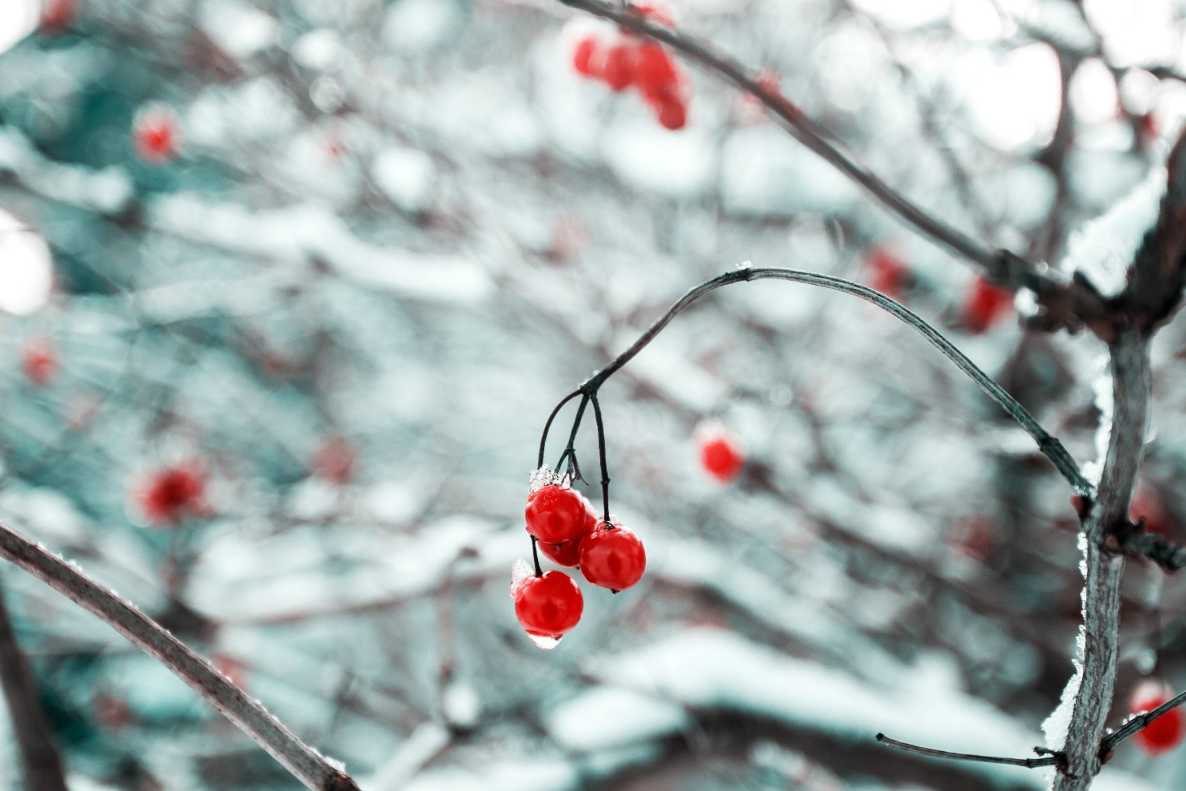 Pausing This Holiday Season To Savor The Gift Of Life | Cognoscenti