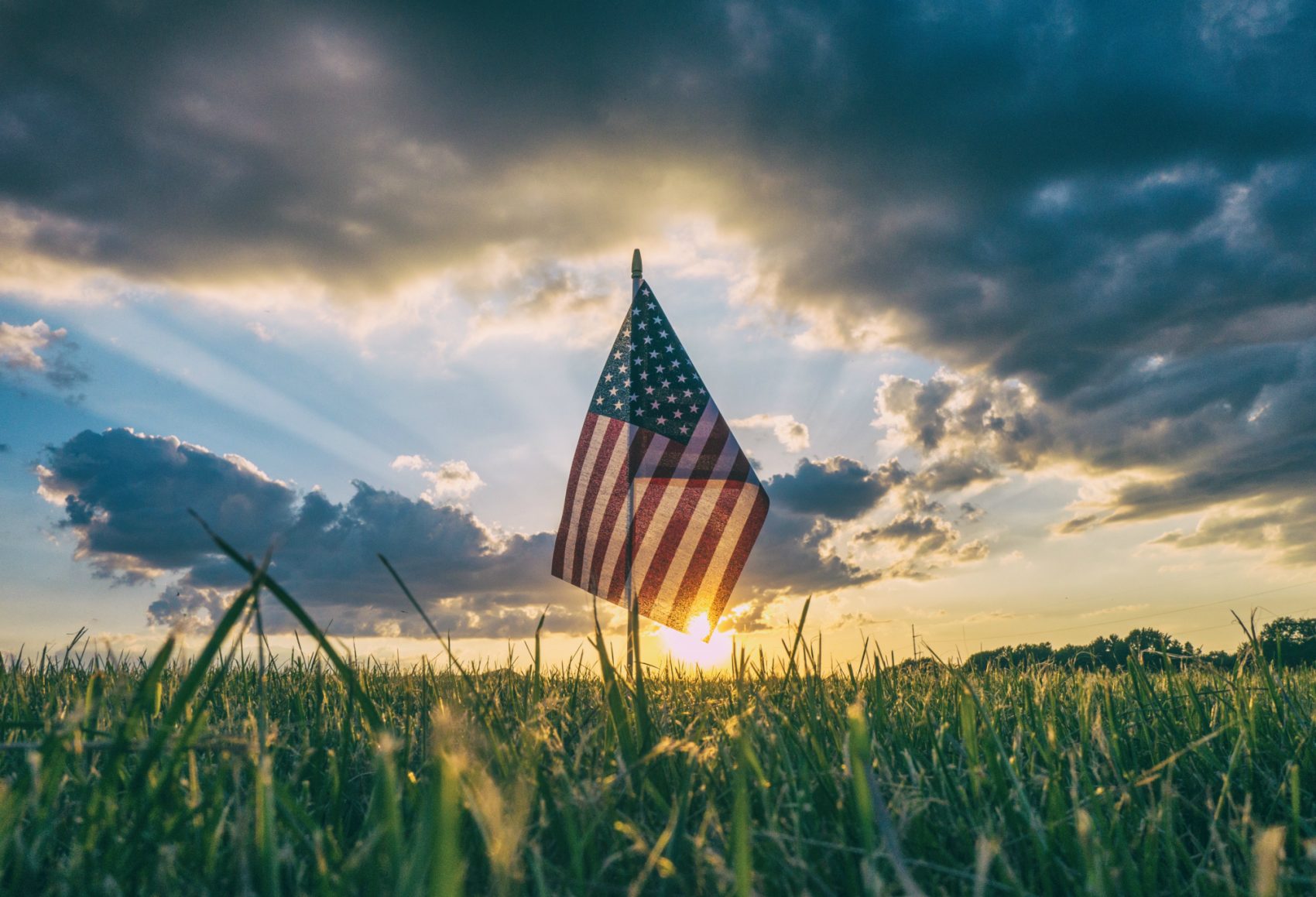 We can’t expect environmental leadership, writes Nathaniel Stinnett, when so few voters demand it. (Aaron Burden/Unsplash)
