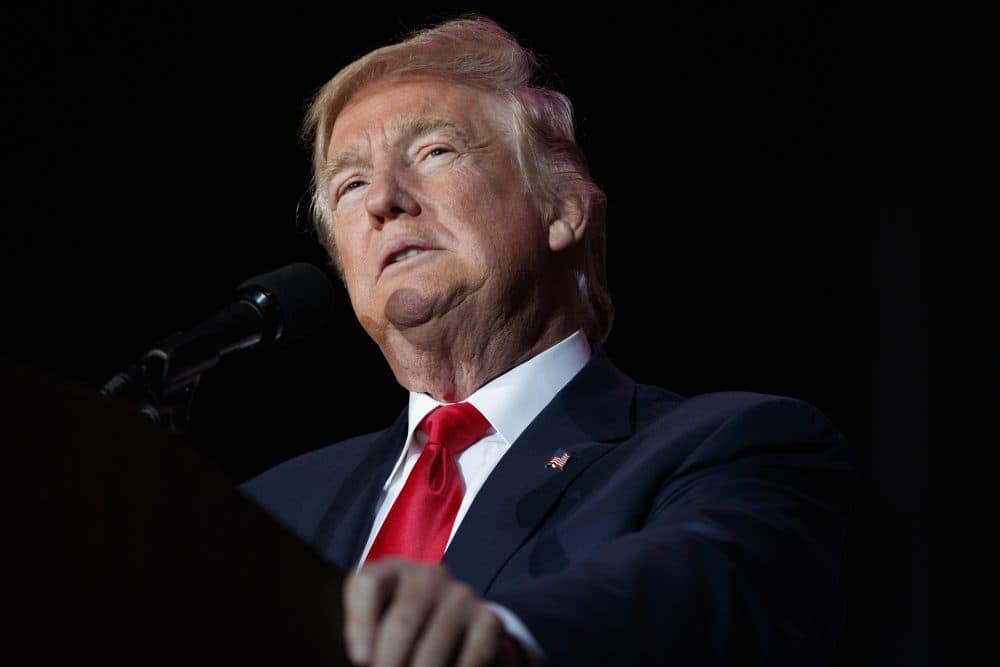 In this Dec. 16, 2016 file photo, President-elect Donald Trump speaks during a rally in Orlando, Fla. (Evan Vucci, File/AP)