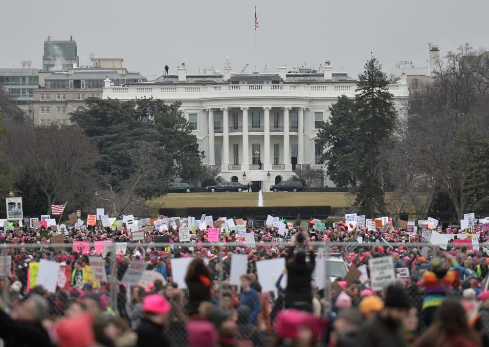 Demonstrators protest near the White House in Washington for the Women's March on Jan. 21, 2017. (Andrew Caballero-Reynolds/AFP/Getty Images)