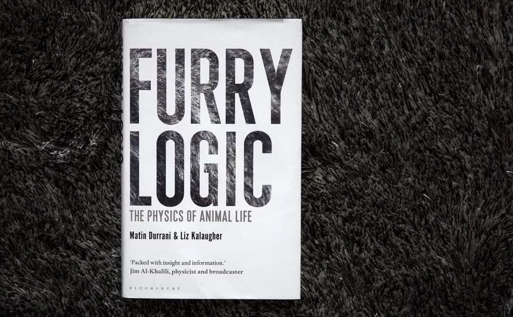 "Furry Logic," by Martin Durrani and Liz Kalaugher. (Robin Lubbock/WBUR)