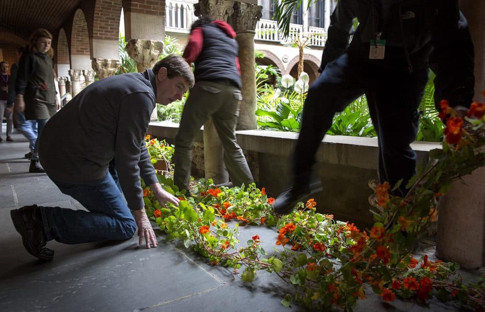 Stanley Kozak kneels by two nasturtium plants as staff lay them out in the museum cloisters and carefully step over them in spring 2017. (Robin Lubbock/WBUR)