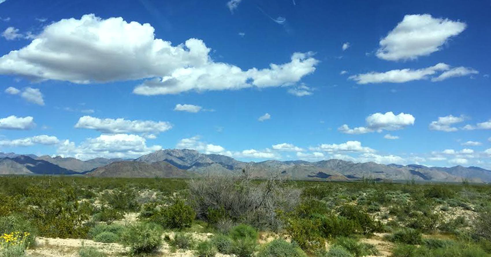 Wide open spaces in Arizona, during Kathy's road trip. (Kathy Gunst for Here & Now)