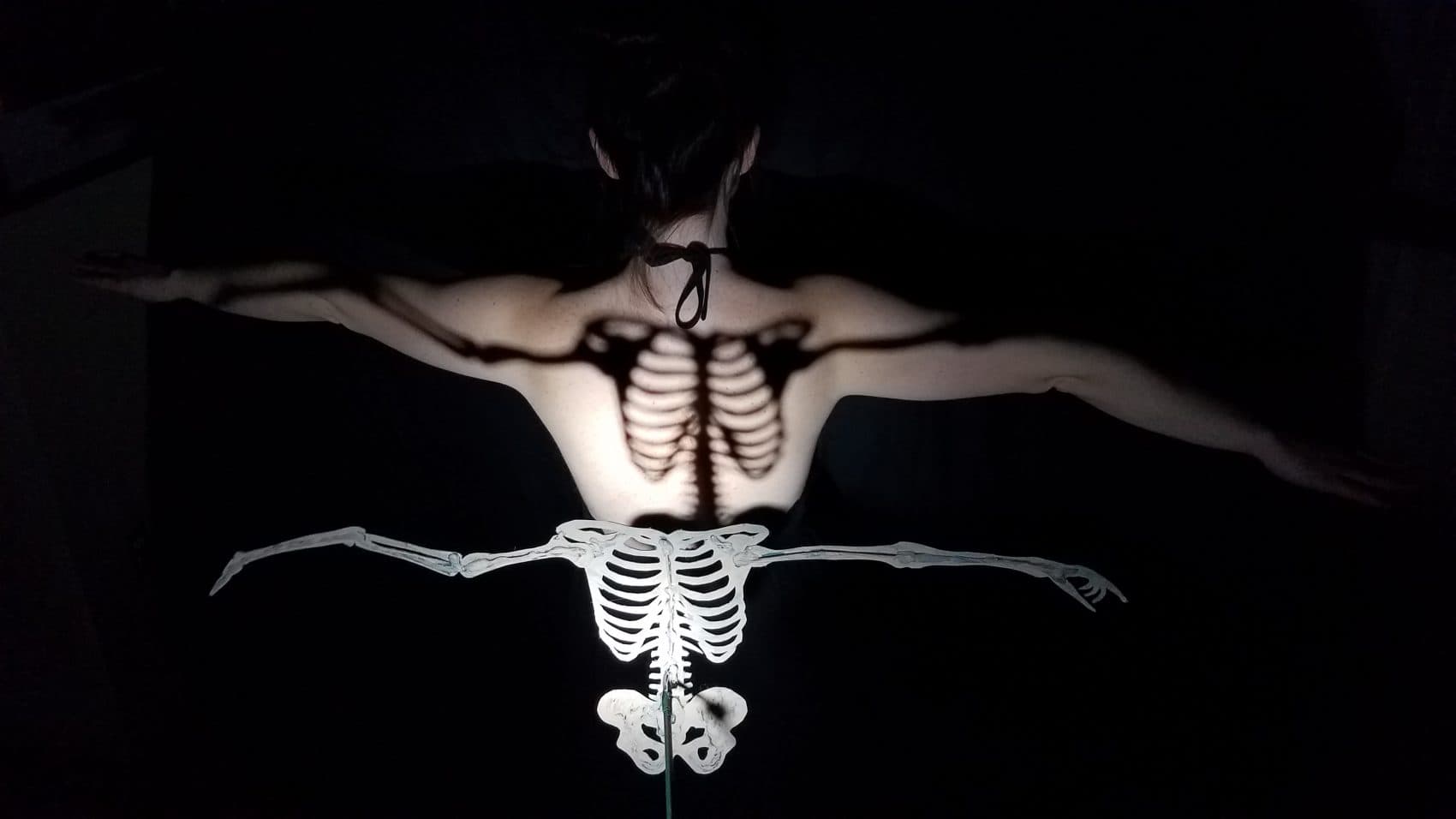 Libby Schap and Caitlin Brzezinski's shadow puppet show "Flying Lessons." They are presenting an expanded version for Cabinet of Curiosities. (Courtesy Darren Evans)