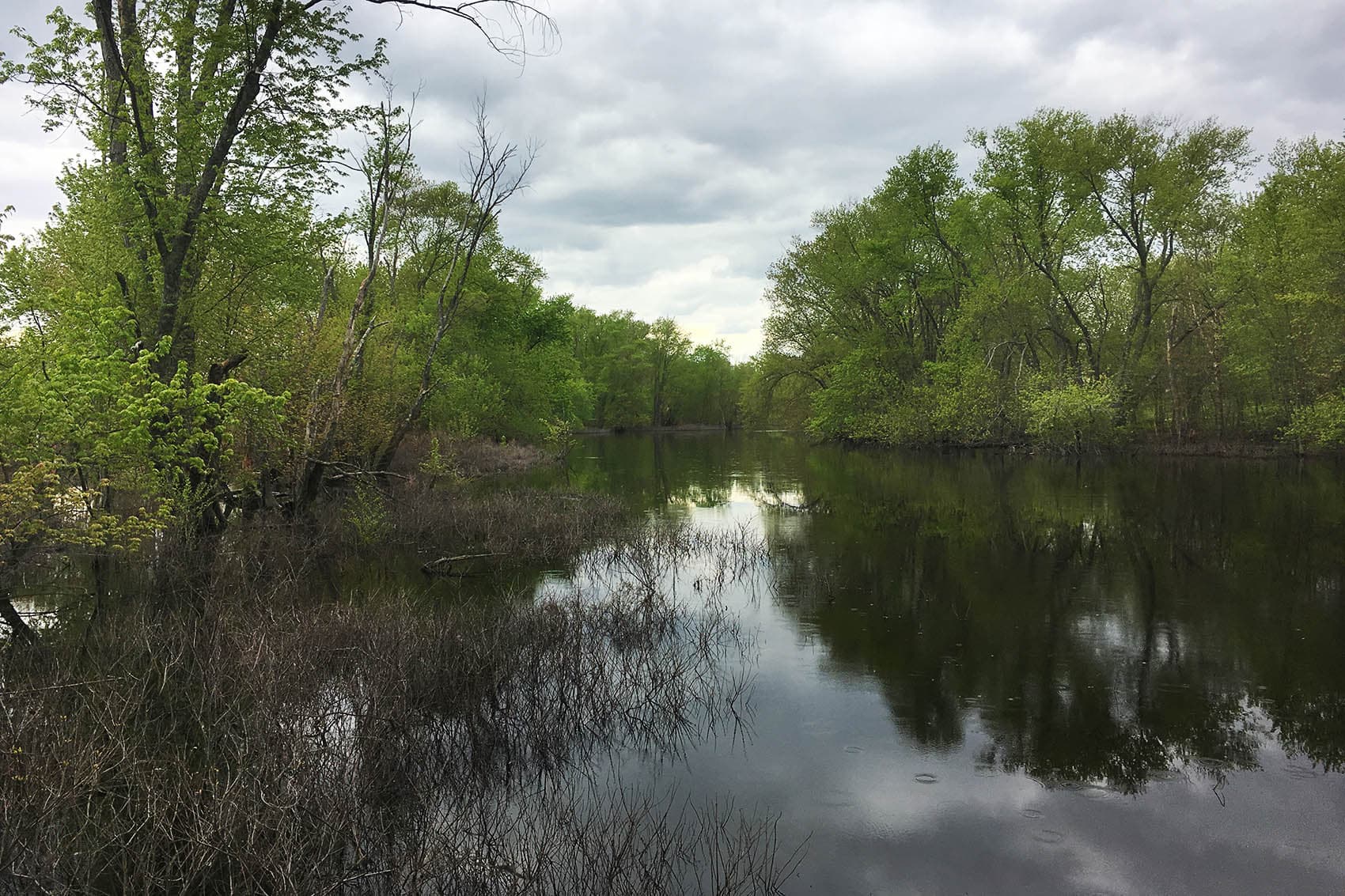 The Concord River. (Alex Ashlock/Here & Now)