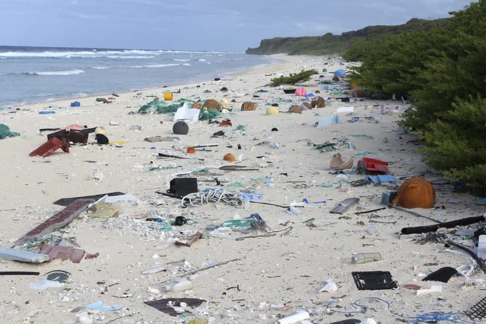 Plastic debris is strewn on the beach on Henderson Island, a tiny, uninhabited island in the middle of the Pacific Ocean. (Jennifer Lavers via AP)