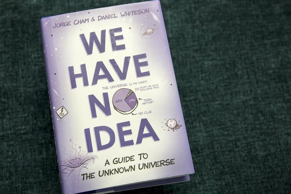 What We Don't Know About The Universe | Here & Now