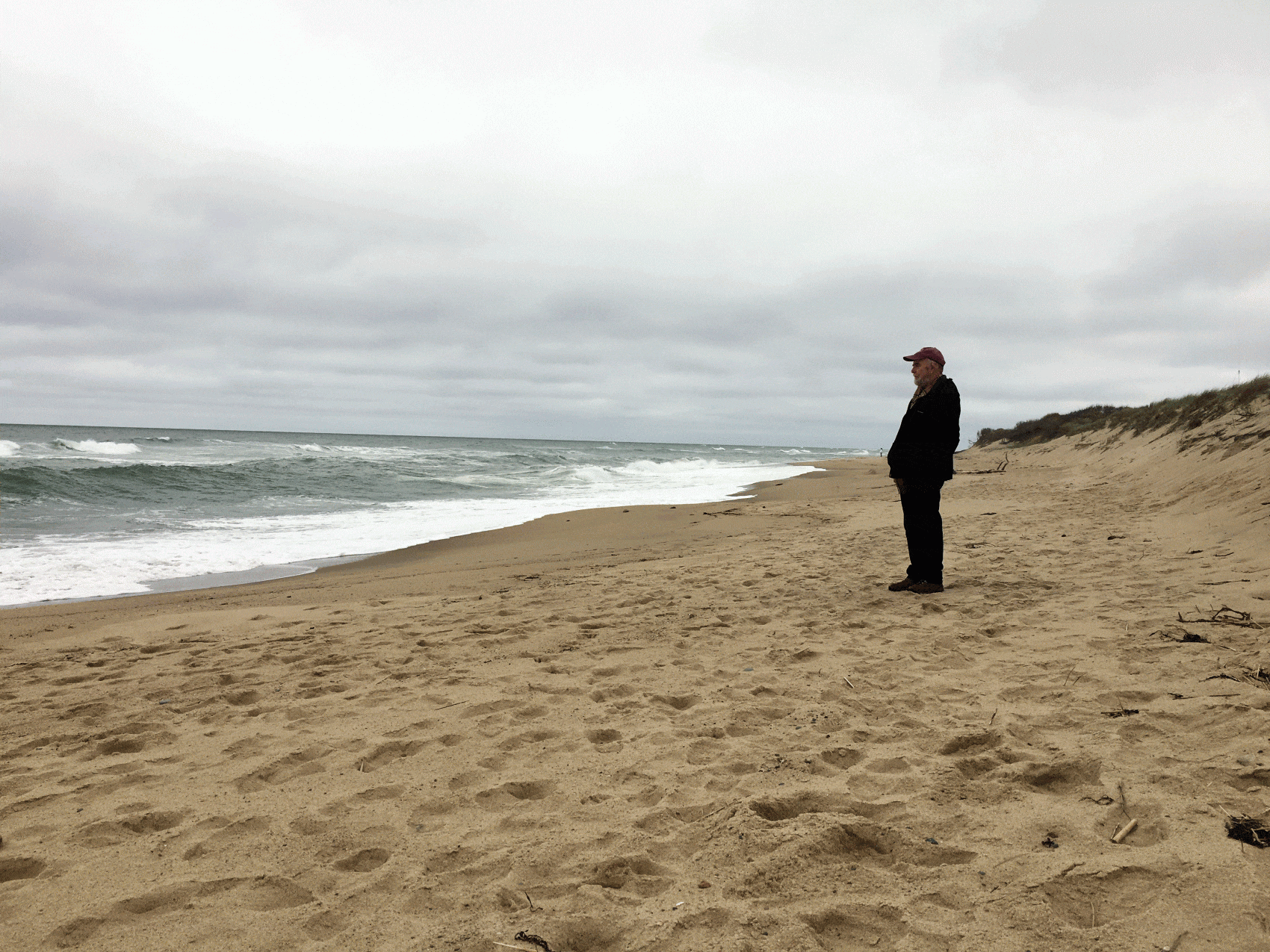 Robert Finch on the Outer Cape (Meghna Chakrabarti/WBUR)