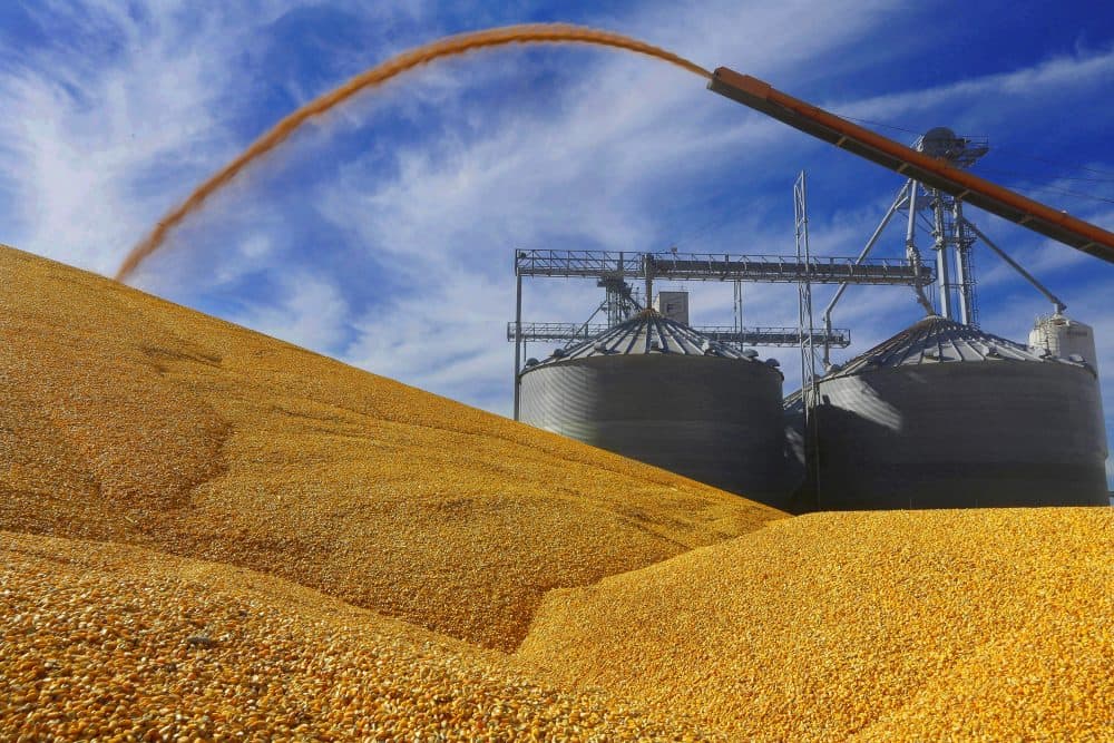 Our lawmakers should summon their inner Abraham Lincoln and pass a 21st-century Homestead Act, writes Rich Barlow. Pictured: Farmers deposit harvested corn on the ground outside a full grain elevator in Virginia, Ill. in 2015. (Seth Perlman/AP)
