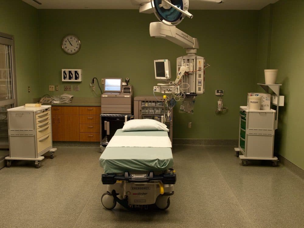 Patients Wait Hours, Days As Demand For ER Psychiatric Beds Grows