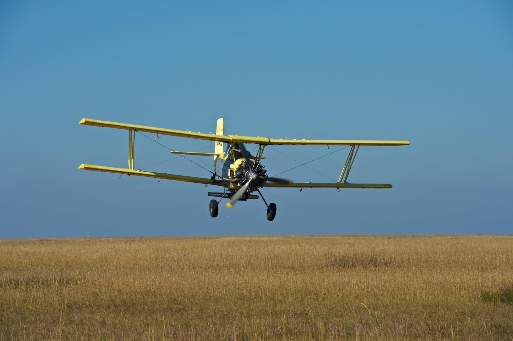 A crop duster drops black mangrove propagules over marshland near Port Fourchon, La., in an effort to offset coastal erosion. (Courtesy ConocoPhillps)