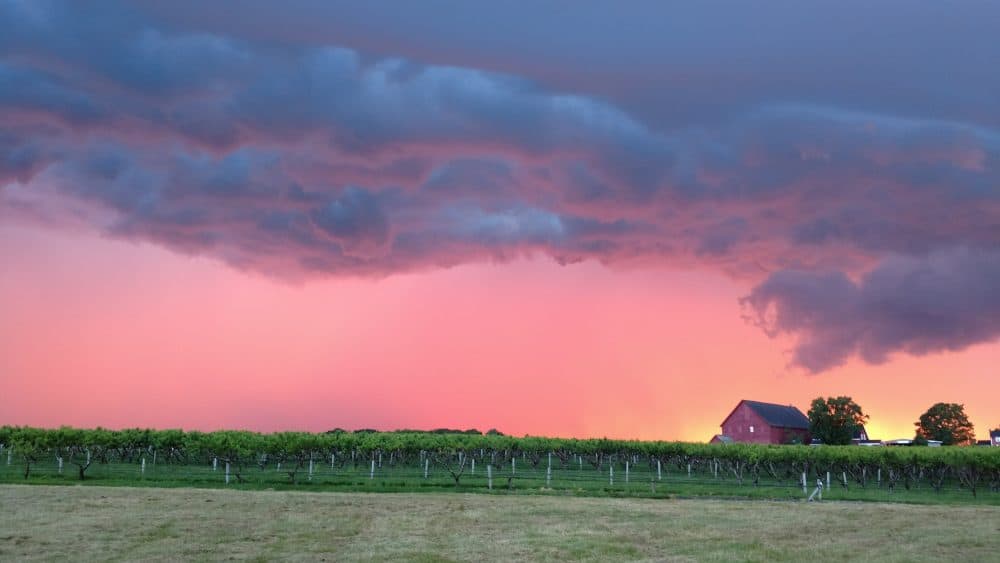Thunderstorms move across Lookout Farm in South Natick, Massachusetts. (Dave Epstein/WBUR)
