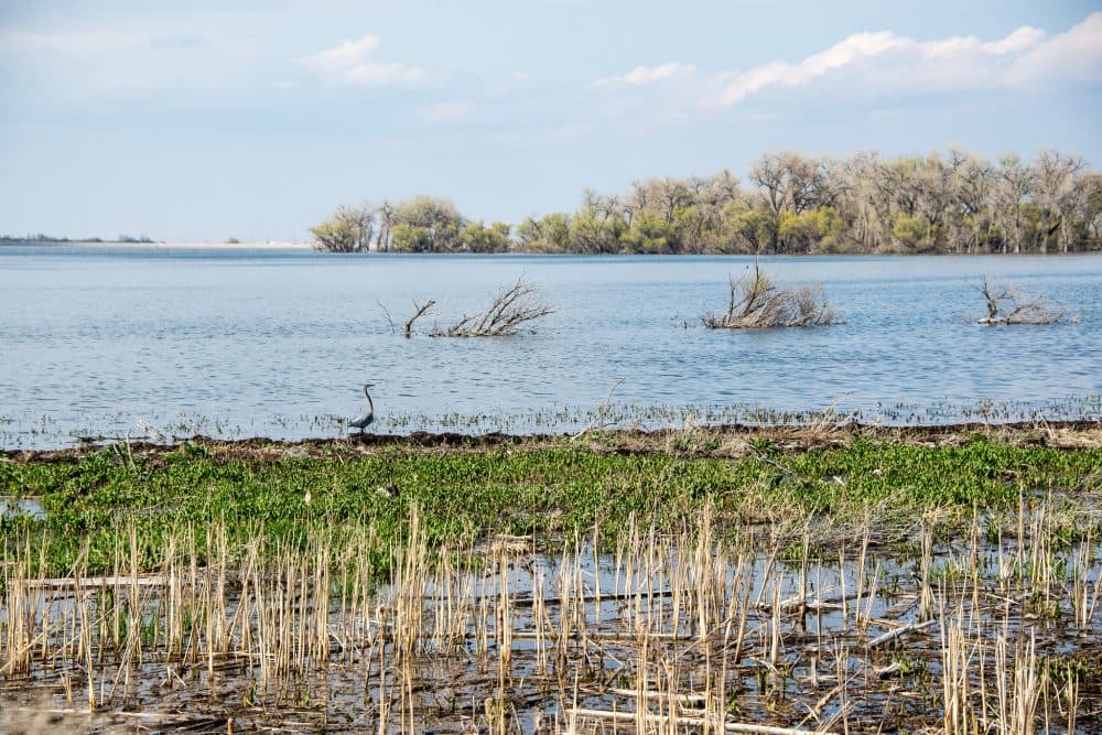 Barr Lake State Park, Adams County, Colorado, April 20, 2015. (Kent Kanouse/Flickr)
