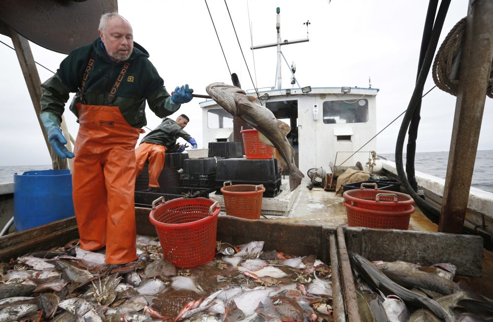 "It's driving people off the water," New Hampshire fisherman David Goethel (pictured) said. "Fishermen are really angry. Every day I get calls from people on the water thanking me for keeping this up." (AP Photo/Robert F. Bukaty)