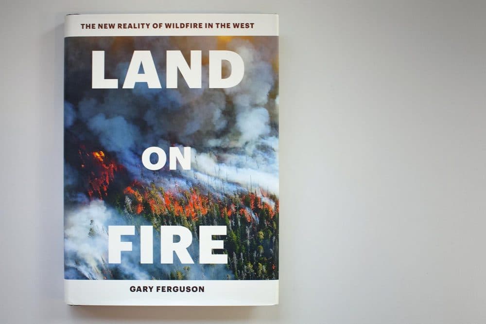 "Land on Fire," by Gary Ferguson. (Jackson Mitchell/Here & Now)