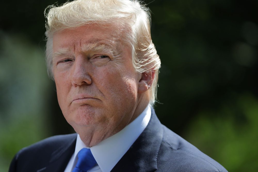 President Trump holds a joint news conference with Lebanese Prime Minister Saad Hariri in the Rose Garden at the White House on July 25, 2017, in Washington, D.C. (Chip Somodevilla/Getty Images)