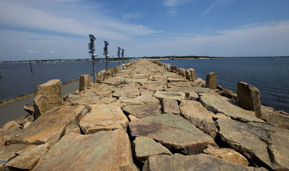 The New Bedford seawall. (Jesse Costa/WBUR)