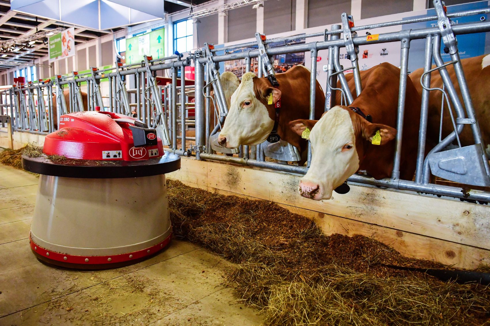 automatic sheep farm