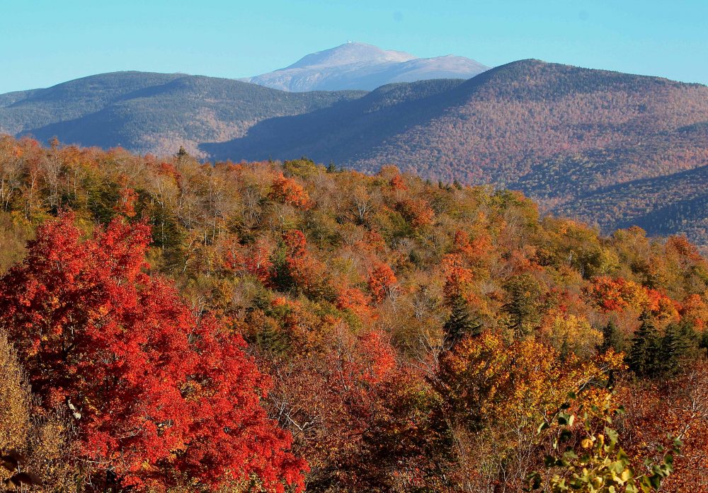 The Presidential Range is see as leaves begin to change color in the White Mountain National Forest in this photo taken from Hart's Location, N.H., Wednesday, Oct. 9, 2013. (Jim Cole/AP)