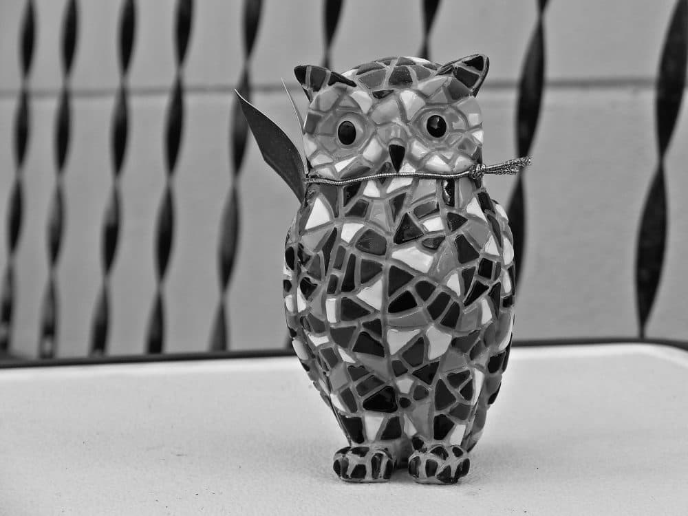 Cleaning out my mother's apartment after she died was all pretty straightforward, writes Anita Diamant. Until we got to the owls. (Daniel Oines/flickr)