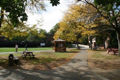 Hampshire College campus (Courtesy lookcatalog)