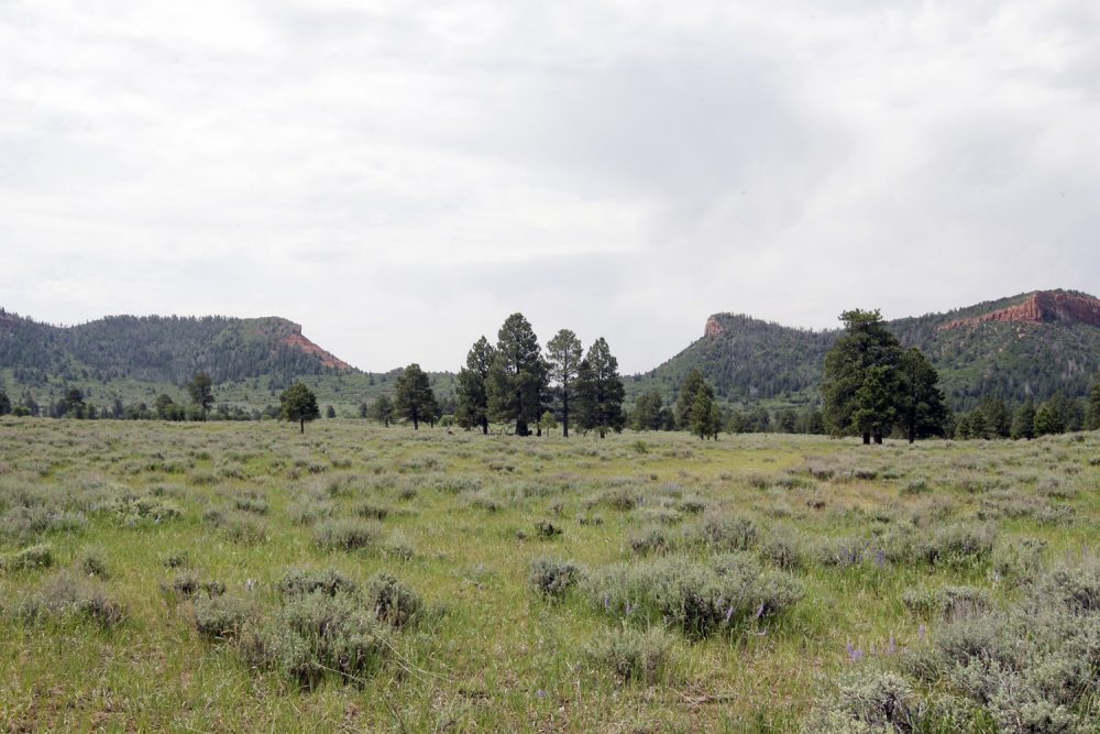 In this June 22, 2016, photo, the "Bears Ears" buttes are shown near Blanding, Utah. U.S. Interior Secretary Sally Jewell is visiting the area this week for a fact-finding mission to meet with proponents and opponents marking the latest indication the Obama administration is giving serious consideration to the Bears Ears monument proposal that has become the latest battleground in the Western public lands debate. (AP Photo/Rick Bowmer)