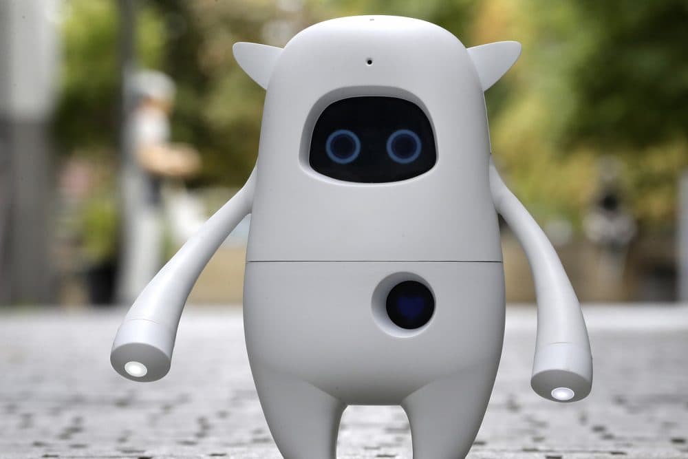 A 'Musio' AI (artificial intelligence) social robot is pictured on a street during its Germany presentation in Berlin, Germany, Thursday, Sept. 7, 2017. Musio is a communication robot capable to interact with humans. (AP Photo/Michael Sohn)