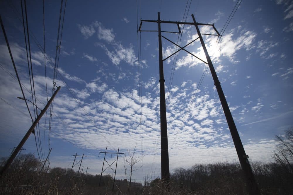 Powerlines in Medway (Jesse Costa/WBUR)