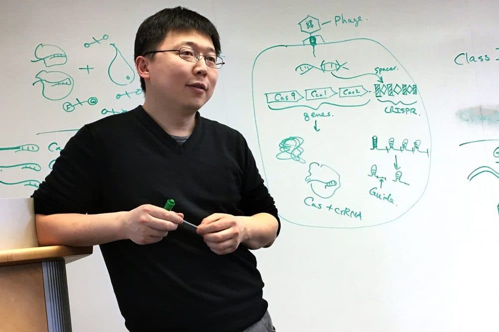 Feng Zhang of the Broad Institute and MIT's McGovern Institute for Brain Research (Carey Goldberg/WBUR)