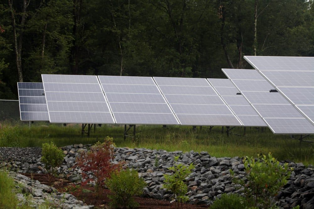 A solar project in Freetown, Massachusetts, in 2015. (Aynsley Floyd/AP for NRG)