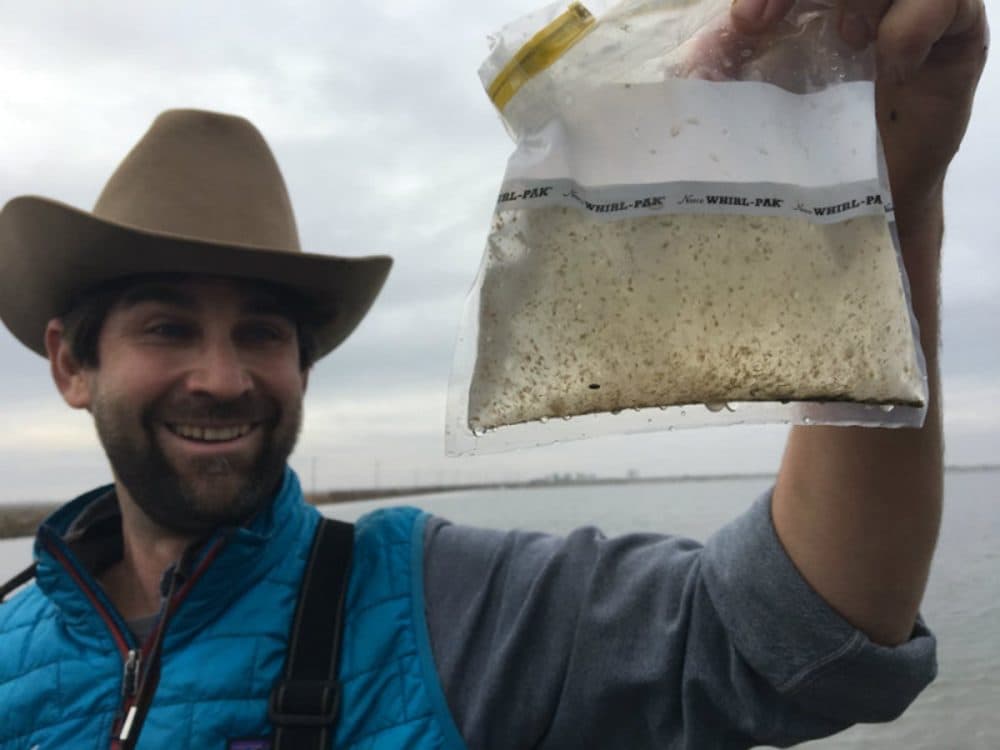 Jacob Katz, with California Trout, says growing bugs in rice fields could be part of the solution for boosting salmon populations in rivers statewide. (Ezra David Romero/Capital Public Radio)