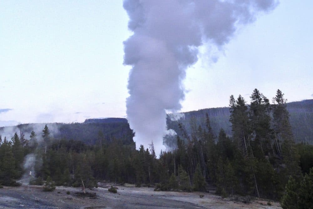 In this July 31, 2013 file photo, Steamboat Geyser, in Yellowstone National Park's Norris Geyser Basin in Wyoming, erupts. (Robb Long, File/AP)