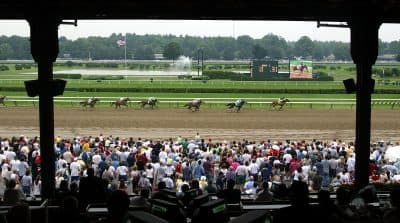 At the Saratoga Race Track, Onion -- an "about average" but "kind" horse -- challenged the great Secretariat. (Mario Tama/Getty Images)