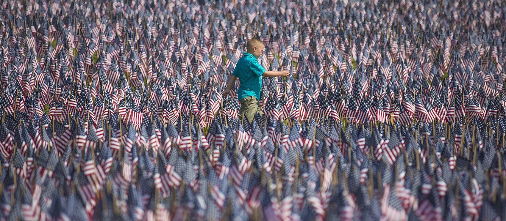 Memorial Day Flag Garden On Boston Common Remembers Fallen Mass