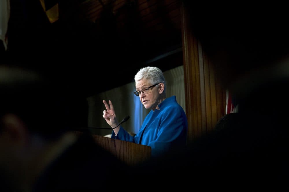Environmental Protection Agency (EPA) Administrator Gina McCarthy speaks at the National Press Club luncheon in Washington, Monday, Nov. 21, 2016. (Jose Luis Magana/AP)