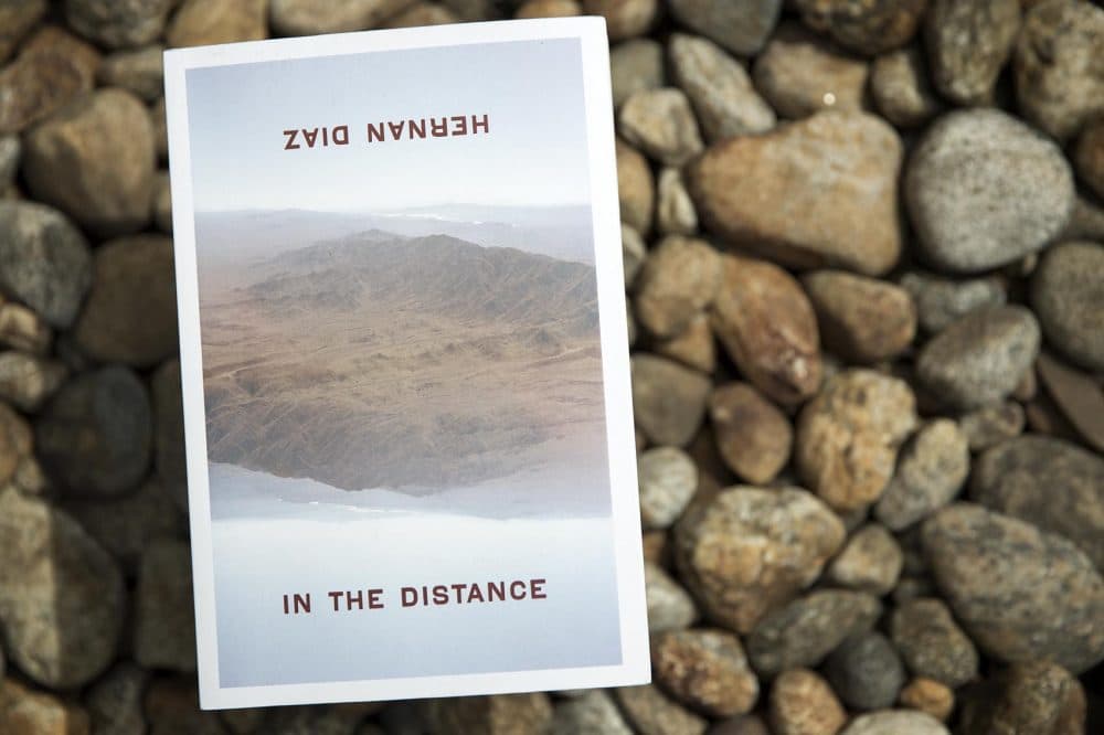 "In the Distance," by Hernan Diaz. (Robin Lubbock/WBUR)