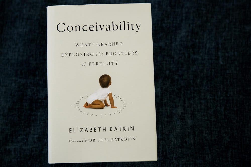 "Conceivability," by Elizabeth Katkin. (Robin Lubbock/WBUR)