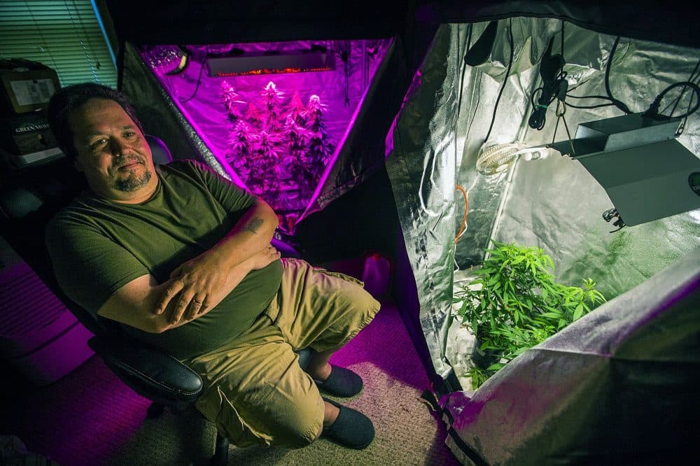 Peter Bernard, president of the Massachusetts Growers Advocacy Council, sits in his small grow room in his Taunton home, where he uses both LED and halide lights. (Jesse Costa/WBUR)