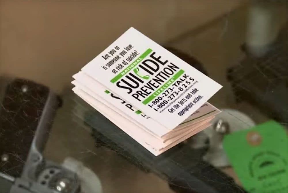 A screengrab from a 2011 informational video about the launch of the Gun Shop Project (Courtesy NAMI NH)
