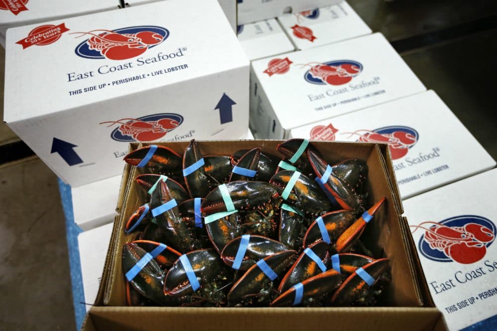 China's tariff on live lobster now stands at 40 percent, and at 35 percent on processed lobster. (Robert F. Bukaty/AP)