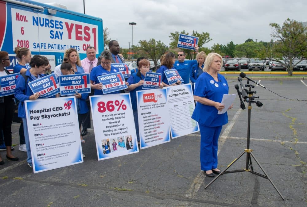 Massachusetts Nurses Association president Donna Kelly-Williams said large health care groups like Partners HealthCare are "deceptive." (Chris Triunfo/SHNS)