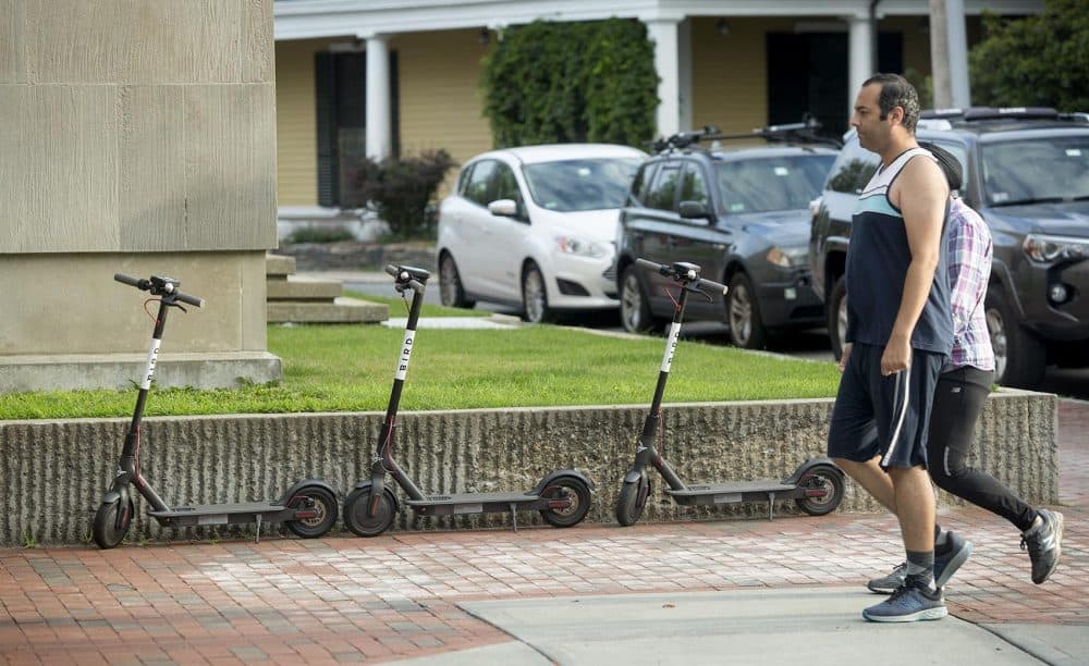 A "nest" of Bird scooters on Mason Street in Cambridge, Mass. (Robin Lubbock/WBUR)