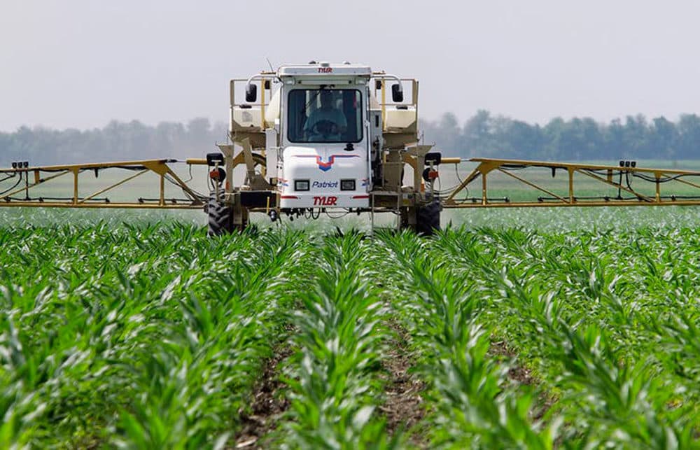 Illinois corn farmer Jerry McCulley sprays glyphosate across his cornfield in Auburn, June 1, 2010. (Seth Perlman/AP)