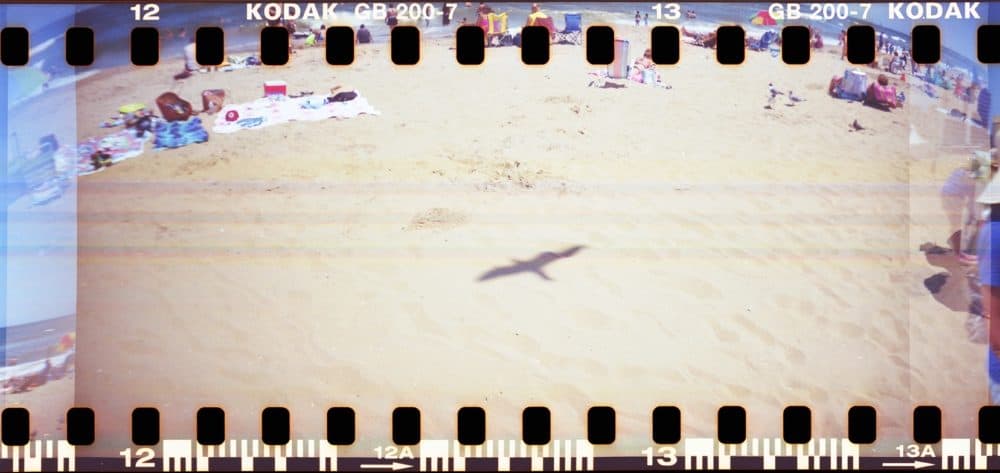 Alison Church's "Shadow," taken on a Sprocket Rocket camera using 200 speed 35 mm film. (Courtesy of the artist)